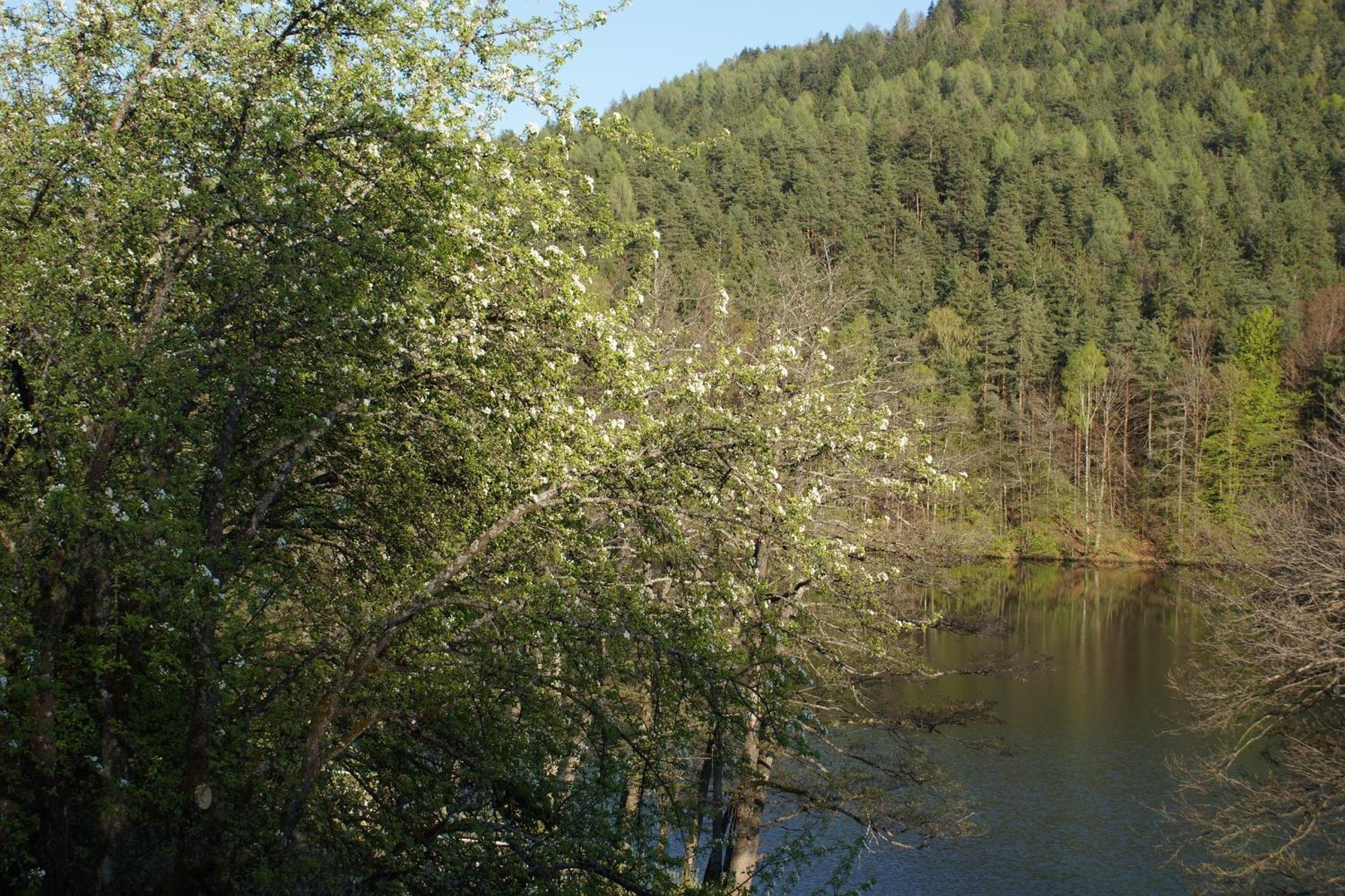 Landgasthof Trattnig Schiefling am See Chambre photo
