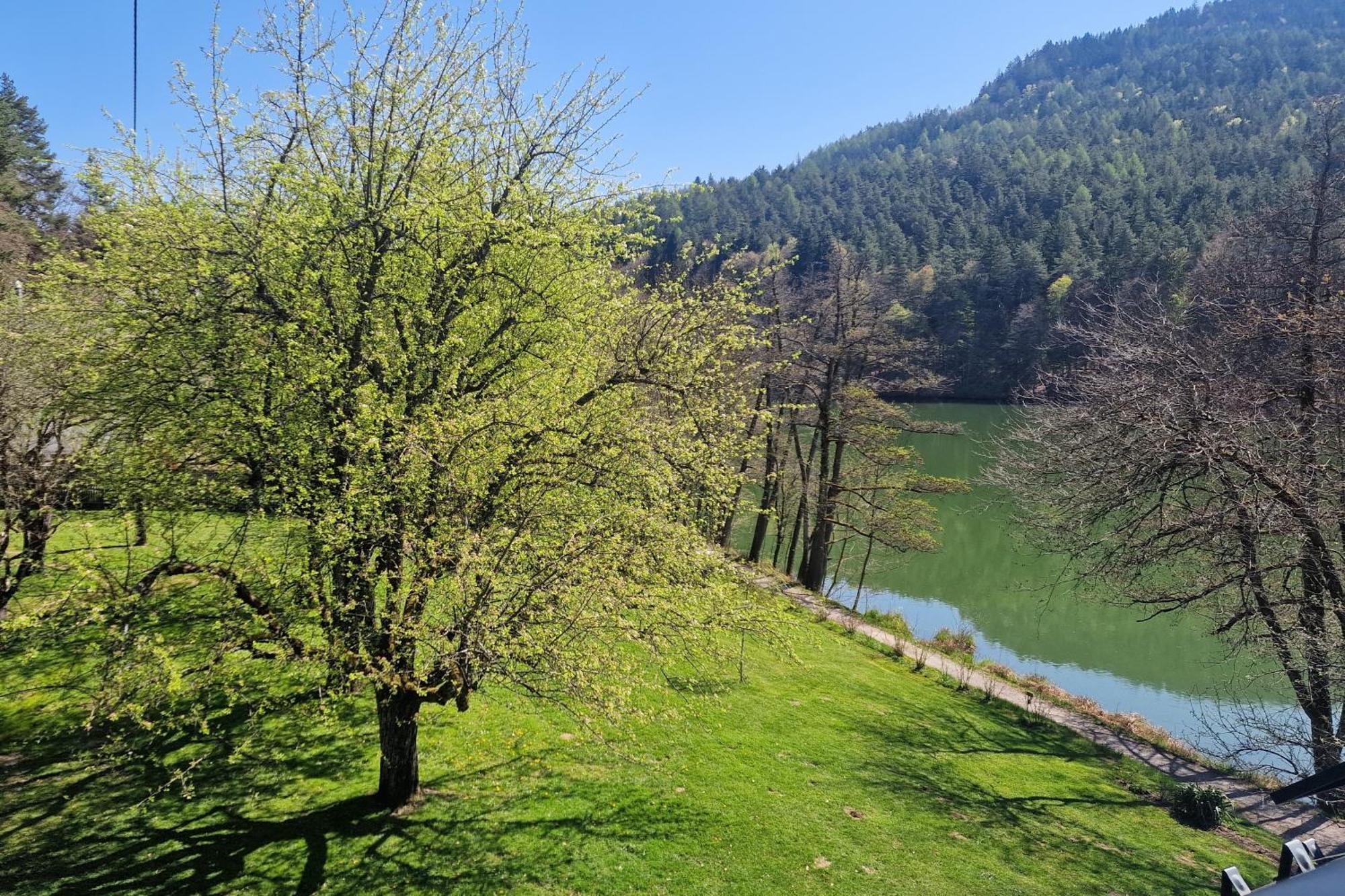 Landgasthof Trattnig Schiefling am See Chambre photo