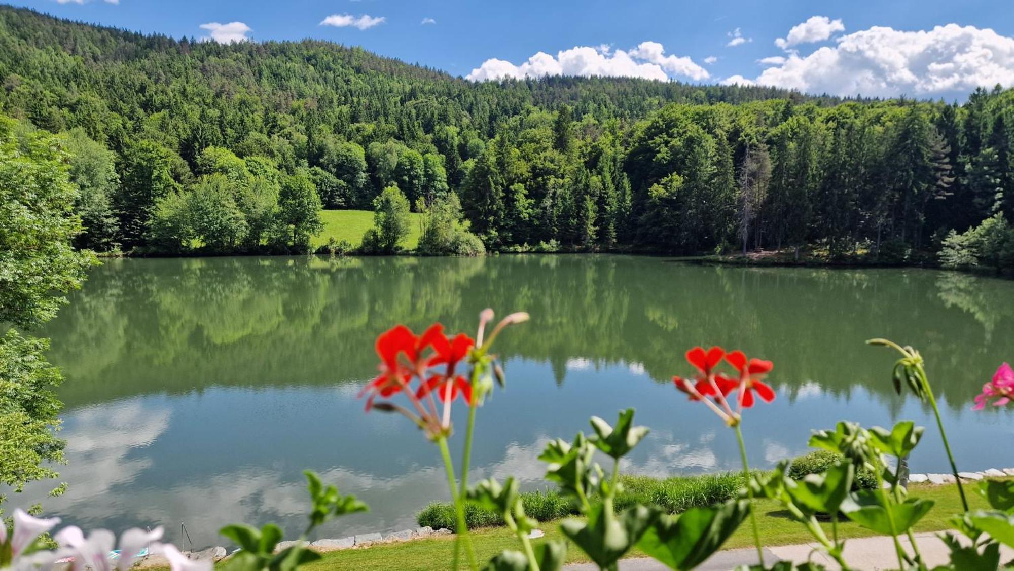 Landgasthof Trattnig Schiefling am See Chambre photo